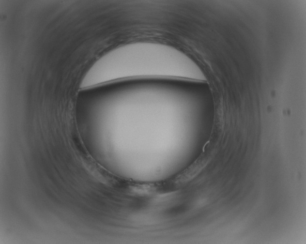 X0000081470079200701121026