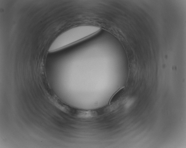 X0000081470083200701121026