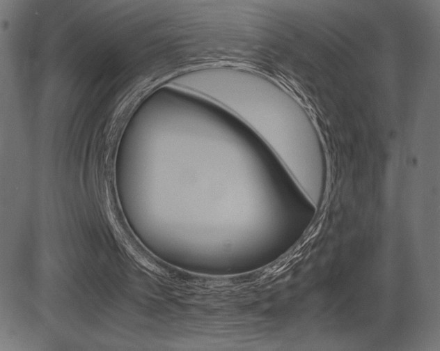 X0000081470097200701121026