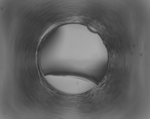 X0000081470100200701121026