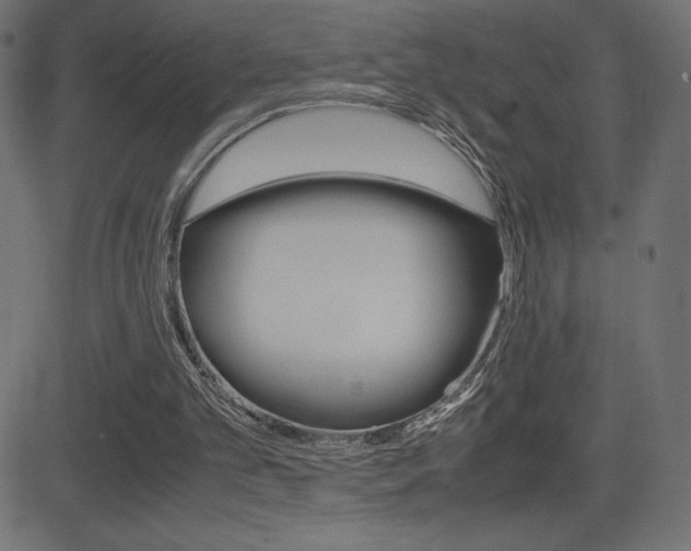 X0000081470101200701121026