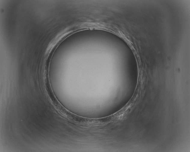 X0000081470103200701121026