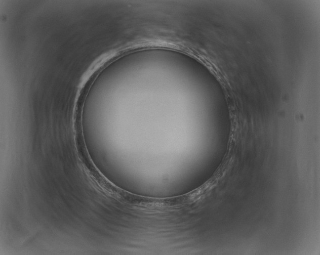 X0000081470104200701121026