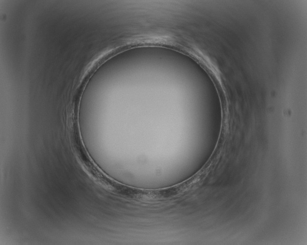 X0000081470107200701121026