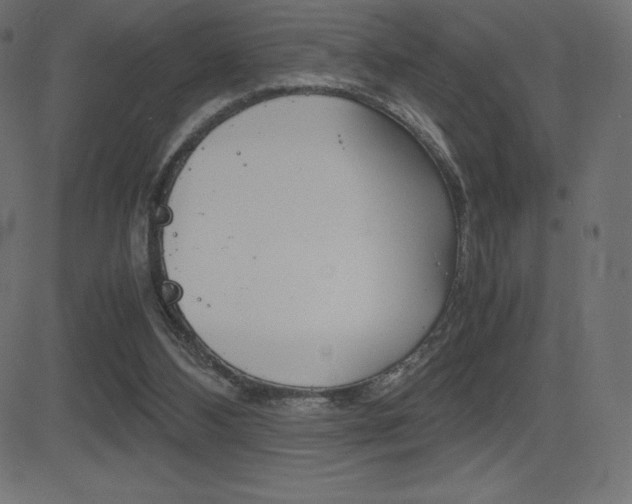 X0000081470108200701121026