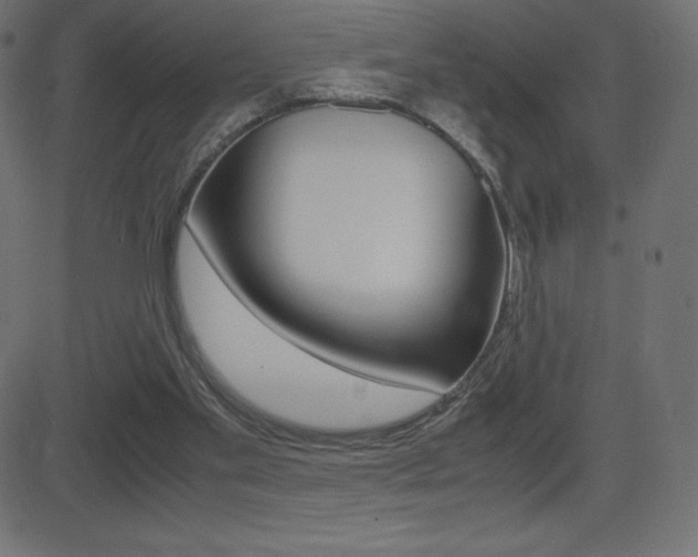 X0000081470109200701121025