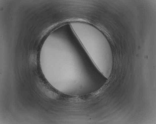 X0000081470112200701121025