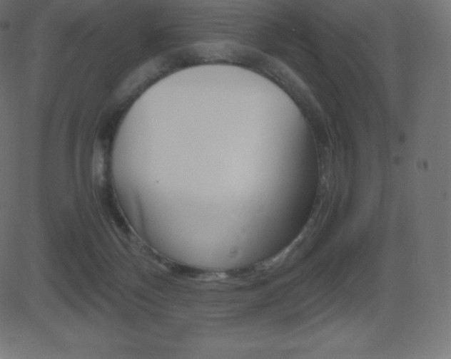 X0000081470124200701121025