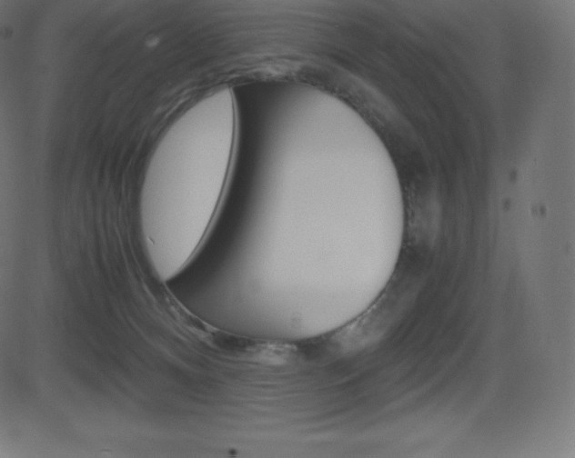 X0000081470128200701121025