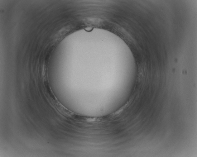 X0000081470130200701121025