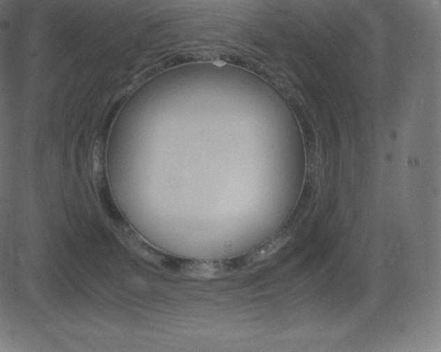 X0000081470131200701121025