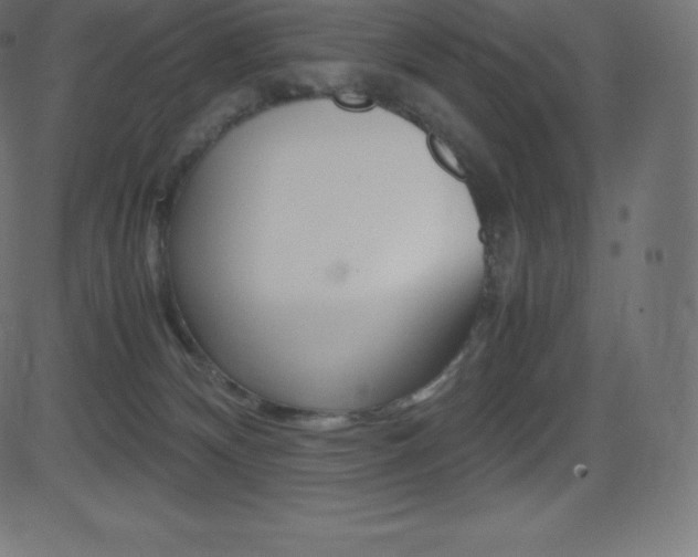 X0000081470132200701121025