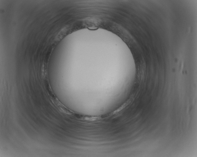 X0000081470134200701121025