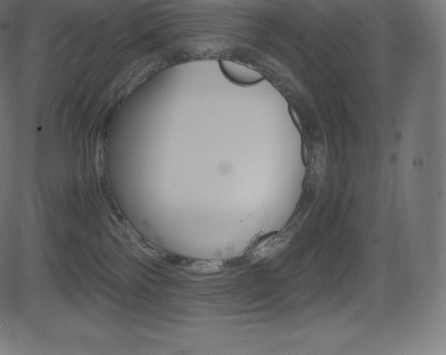 X0000081470138200701121025