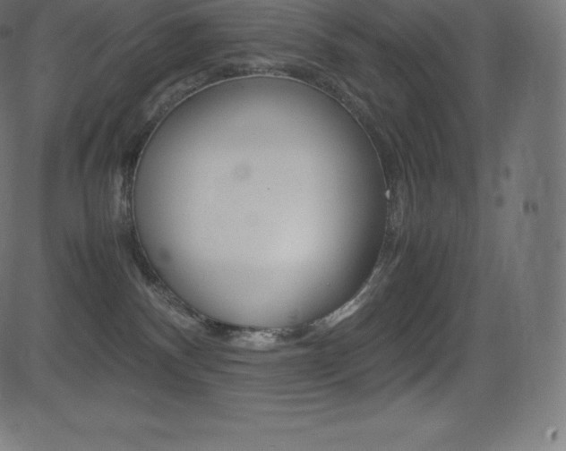 X0000081470140200701121025