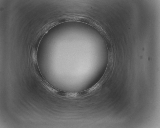 X0000081470143200701121025