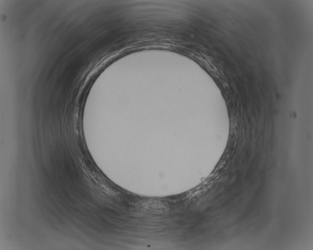 X0000081470146200701121024