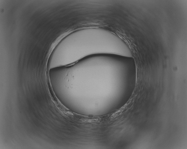 X0000081470147200701121024