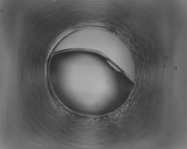 X0000081470148200701121024