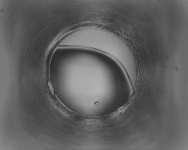 X0000081470150200701121024