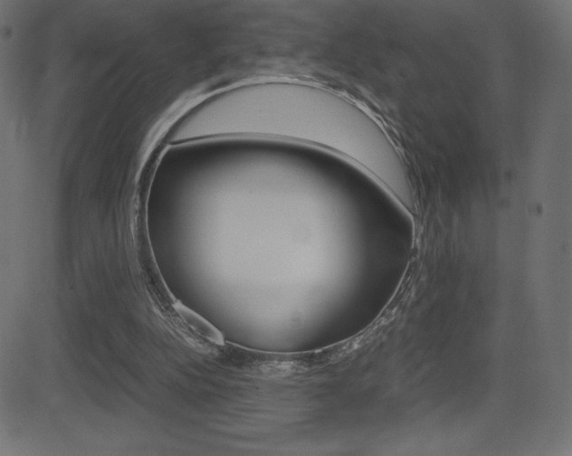 X0000081470152200701121024