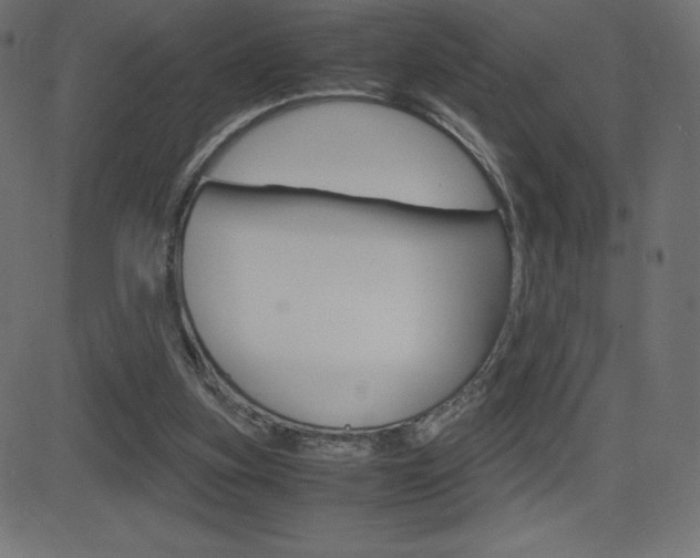 X0000081470155200701121024