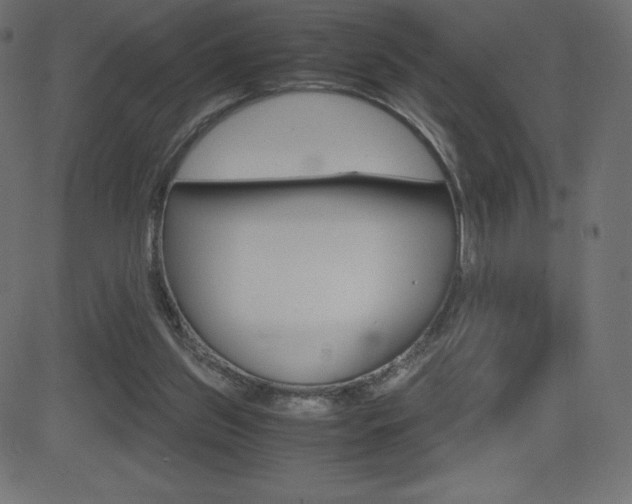 X0000081470157200701121024