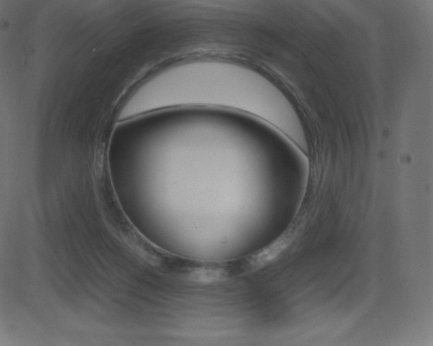 X0000081470168200701121025