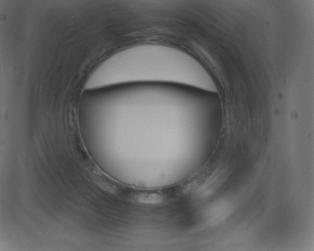 X0000081470169200701121025