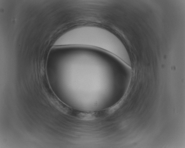 X0000081470170200701121025