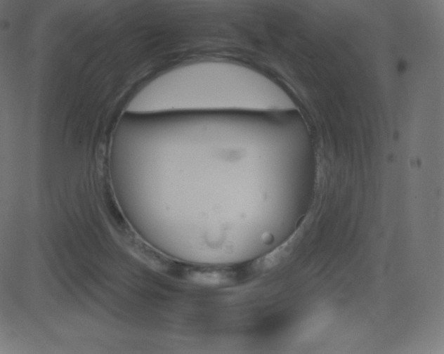 X0000081470171200701121025