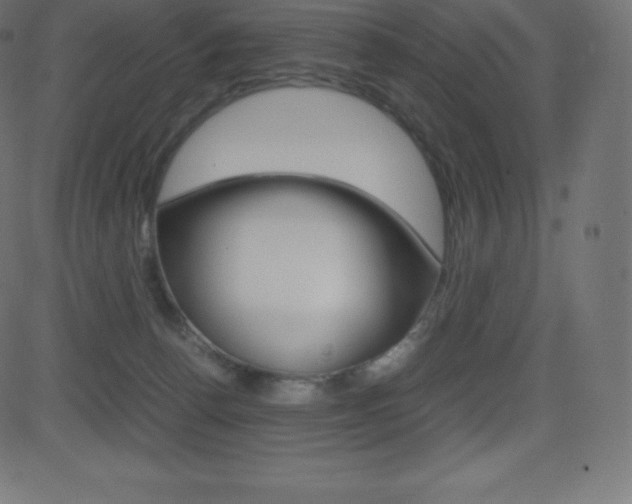 X0000081470176200701121025
