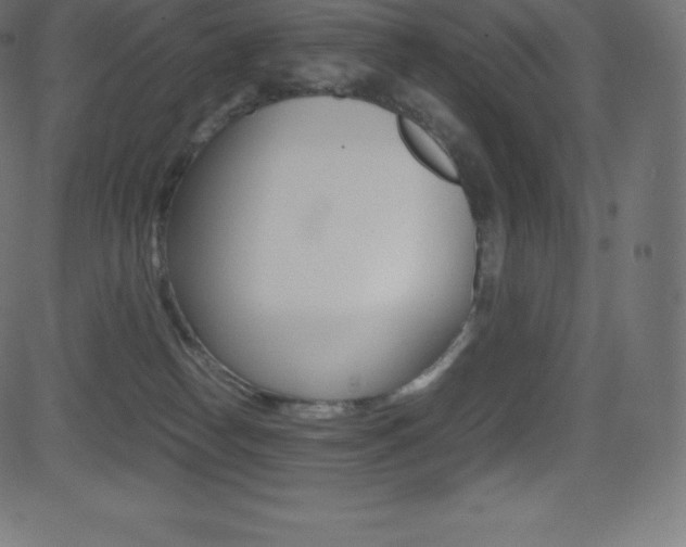 X0000081470182200701121025