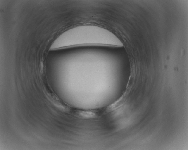X0000081470183200701121025