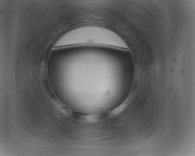 X0000081470184200701121025