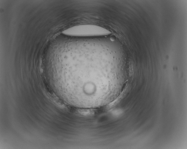 X0000081470187200701121025