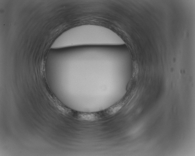 X0000081470189200701121025