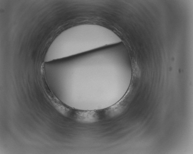 X0000081470191200701121025