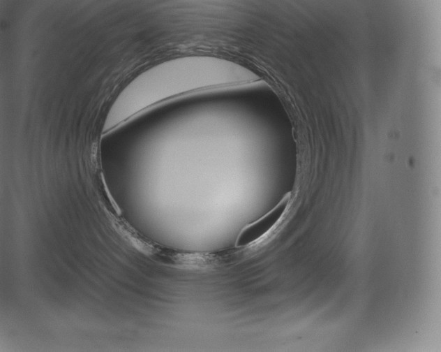 X0000081470192200701121025