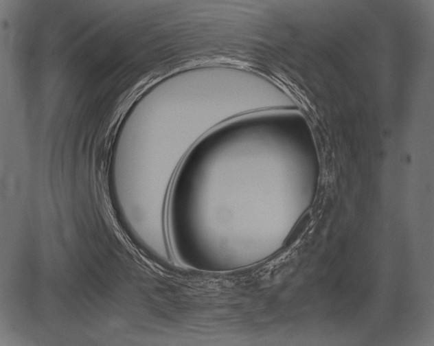 X0000081470193200701121024