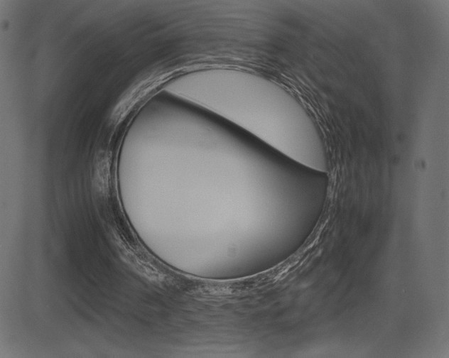 X0000081470194200701121024