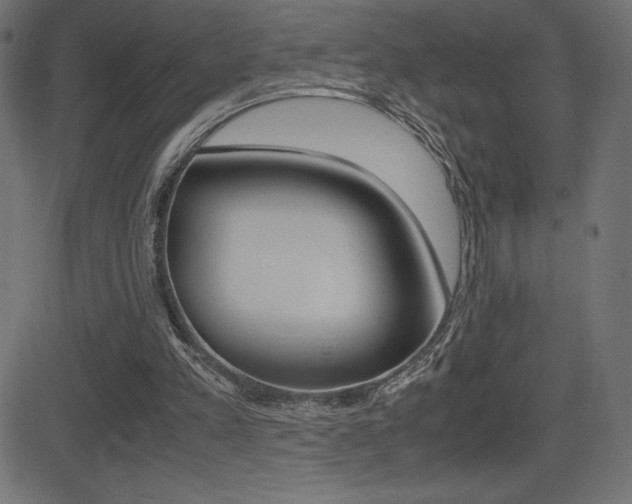 X0000081470197200701121024