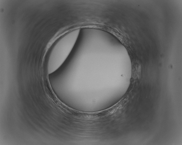 X0000081470198200701121024