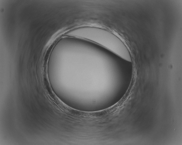 X0000081470199200701121024