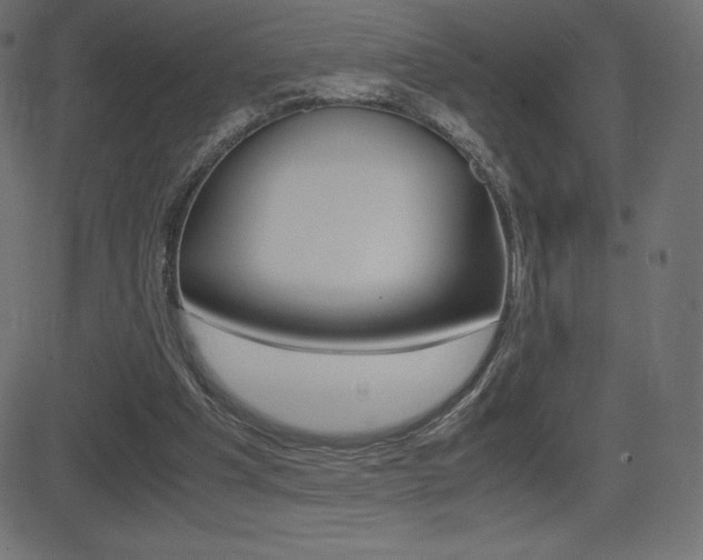 X0000081470201200701121024