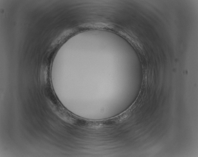 X0000081470206200701121024