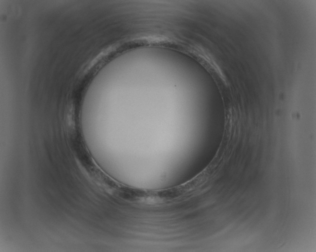 X0000081470212200701121024
