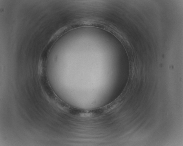 X0000081470216200701121024