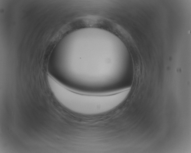 X0000081470221200701121024