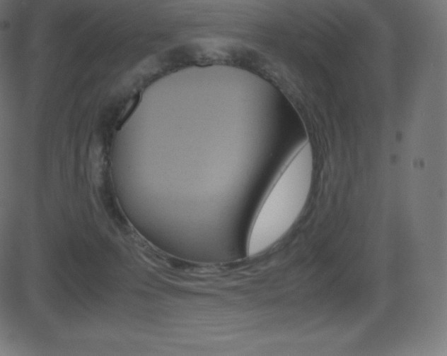 X0000081470223200701121024